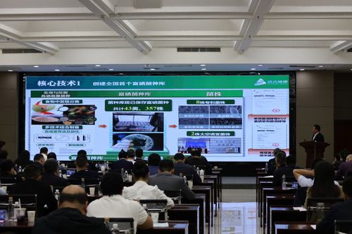 2025企創融通匯富硒產業專題現場活動成功舉辦,信息技術咨詢服務賦能產業升級